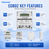 Compteur numérique monophasé à deux fils Tepsung EDB02, précision classe 1.0, 80A-100A max, 0-999999.99 KWH