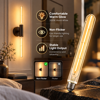 OEM / ODM disponible Vintage Long filament LED ampoule à filament tubulaire 4W E27 220V T30L sans scintillement LED filament ampoule CE