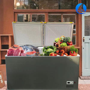 Refrigeradores de Una Puerta BD498, Congeladores Eléctricos de Gran Capacidad con Cerradura, Luz LED, Diseño de <span class=keywords><strong>Aletas</strong></span> de Aluminio, Refrigerador Congelador - Product Image 6
