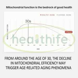 Complément alimentaire Healthife Urolithin a 500 mg avec NAD+ CoQ10 Resveratrol PQQ pour hommes et femmes - Product Image 4