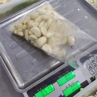 Gousses d'ail pelées en pot de 5lb Prix bon marché Ail pelé frais de Chine pour l'exportation