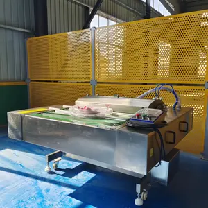 Gıda için DZ-1000 tasarım sürekli vakumlu macunlar paketleme makinesi