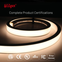 Ruban LED néon flexible personnalisable 40x25mm, étanche IP65, double rangée, haute luminosité, silicone diffuseur B2, ignifuge, 12V/24V