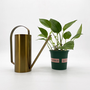 Arroseur de jardin moderne en acier inoxydable pour bain de nénuphar Pot de plantes noir à arrosage automatique pour plante de jardin d'école intérieure - Product Image 1