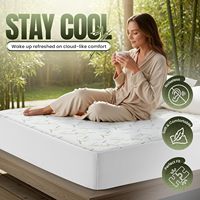 Surmatelas en bambou dérivé de la viscose, style ajusté, 200 GSM, taille Queen, imperméable, lavable, antibactérien, perméable à l'air