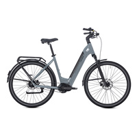 Vélo électrique urbain unique avec moteur central Ananda, frein hydraulique, batterie 36V15Ah, transmission interne automatique à 3 vitesses et autonomie de 180 km