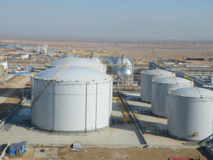 Bồn Chứa Dầu Chống Ăn Mòn Sơn Phenolic Resin Epoxy Sơn - Product Image 4