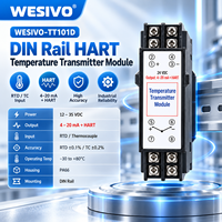 Modul Pemancar Suhu Rel DIN Akurasi Tinggi RTD Thermocouple Output 4-20mA HART
