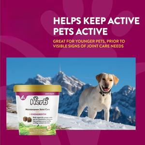 Suplementos Naturales para la Salud de las Articulaciones de Perros, Masticables Suaves para el Soporte de las Articulaciones de la Cadera, Marca Privada OEM/ODM - Product Image 3