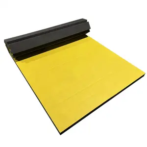 Hot sale cheap price gymnastic carpet rolling mats gym roll mat for martial arts