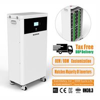 Batterie de stockage d'énergie Madsun 15 kWh 48 V LiFePO4, batterie solaire LiFePO4 16 kWh 51,2 V 314 Ah 300 Ah 280 Ah avec WiFi Bluetooth IP65