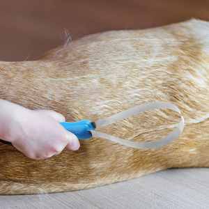 Cepillo de Aseo para Mascotas: Ganado, Caballos, Ovejas, Perros y Gatos - Cuchilla Antiprurito para Eliminar el Pelo y Dientes Serrilados para Raspar y Eliminar el Sudor - Product Image 4