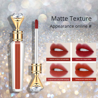 Laque à lèvres velours brillant à lèvres mat rouge à lèvres blanc soyeux à base minérale résistant à la décoloration sans tache sur la tasse