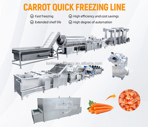 Máy đông lạnh liên tục IQF dạng đường hầm cho rau củ quả, cà rốt, cà chua, khoai tây chiên, dây chuyền đông lạnh nhanh IQF - Product Image 3