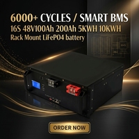 Meilleure batterie au lithium Lifepo4 12v 24v 48V 50ah 100ah 150Ah 200ah 300ah pour les systèmes de stockage d'énergie solaire 5KWH