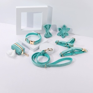 Produttore di velluto morbido imbracatura per cani collare e Set di guinzaglio a sgancio rapido in metallo fibbia Set imbracatura per cani - Product Image 6