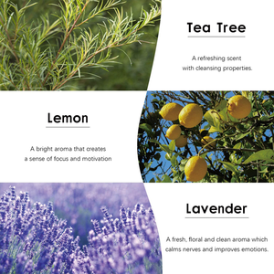 Set di Oli Essenziali Top 12 Oli Aromaterapici per Diffusore, per Casa, Produzione di Candele e Saponi - Product Image 5