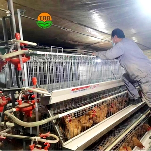 <span class=keywords><strong>Cage</strong></span> de couche de type A de haute qualité personnalisée en usine pour l'élevage de couches - Product Image 3