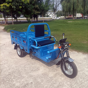 2025 Sanbengzi 3 roues <span class=keywords><strong>Tricycle</strong></span> électrique vélo pour <span class=keywords><strong>adultes</strong></span> nouveau 800-1000W Cargo Trike électrique multifonction - Product Image 6