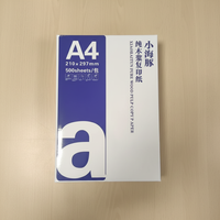 Papel de Copia A4 70gsm 75gsm 80gsm Papel de Impresión Multiusos de Alta Luminosidad para Oficina