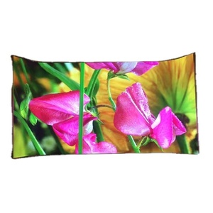 P3.91 Pantalla LED para interiores Pantalla a todo color para escenario, corporativo, centro comercial, tiendas, pantalla grande electrónica, publicidad - Product Image 1