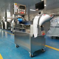 Industriële Elektrische Multifunctionele Groente Fruit Aardappel Wortel Snijden Snijden Snijsnijsnijversnijding Snijsnijsnijsnijdende Snijsnijmachine