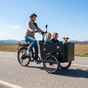 Triciclo <span class=keywords><strong>de</strong></span> Carga Grande para Adultos, Estilo Europeo, Directo <span class=keywords><strong>de</strong></span> Fábrica, para Uso Familiar, con Certificado CE para el Mercado Europeo - Product Image 2