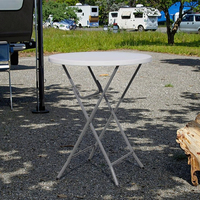 Table pliante portable de 18 pouces au design moderne, légère, en plastique, lot de 2 tables pliables et repliables pour jardin/cuisine, idéales pour villa