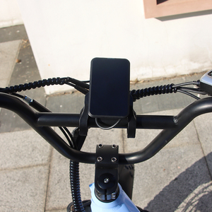 Vélo électrique à 3 roues, taxi, tricycle à pneus larges pour adultes, adapté à <span class=keywords><strong>2</strong></span> passagers, vélo électrique <span class=keywords><strong>cargo</strong></span>, trike rapide, 20*4.0 - Product Image 4