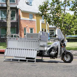 Motocicleta Profesional Motorizada 2025 con Sidecar, Refrigeración por Aire/Agua - Product Image 1