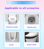 Produits de nettoyage de toilette Décontamination alcaline diurétique Dissolution de l'urine Toilette Acide xanthoxalique Moussant Poudre de nettoyage de toilette
