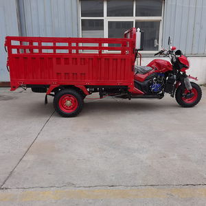 Tricycle de livraison à <span class=keywords><strong>3</strong></span> roues avec benne ouverte, moteur essence <span class=keywords><strong>300cc</strong></span>, tricycle cargo motorisé à vendre - Product Image 2
