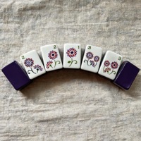 Collection de jeu de Mahjong américain moderne de luxe en acrylique, motif animaux et fleurs fantaisie, lapin, oiseau, serpent, pour soirée de jeu de table