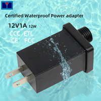 Adaptateur secteur DC AC IP44 12V 500mA 300mA 250mA 6W 3.6W 3W pour lumières de Noël