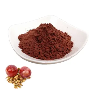 Manufacturers Sale 95% Anthrocyanadine Opc Organic Food Fruit Plant Skin Grape Seed Extract