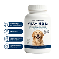 120 comprimés à mâcher de vitamine B12 pour chiens, complément alimentaire pour animaux de compagnie, service OEM, étiquette privée, service personnalisé
