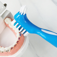 Brosse professionnelle pour le nettoyage des prothèses dentaires, brosses à prothèses dentaires en gros, brosse à dents pour le nettoyage des prothèses dentaires