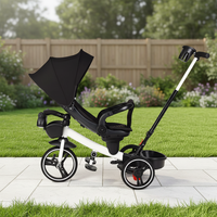Tricycle pliable pour enfants avec auvent, poignée de poussée pour contrôle parental, poussette convertible, chariot pour tout-petits, plastique, métal, tissu