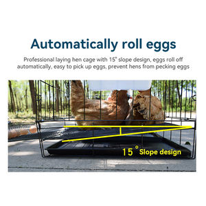 Jaula Plegable para <span class=keywords><strong>Gallinas</strong></span> Ponedoras y Pollos <span class=keywords><strong>de</strong></span> Engorde para Granja Avícola en <span class=keywords><strong>Venta</strong></span> - Product Image 6