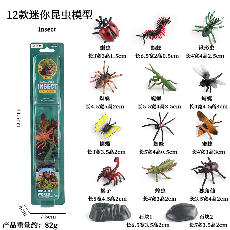 [Tarjeta de tira de TB] 12 mini insectos