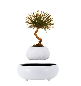 Maceta de flores de diseño personalizado para decoración del hogar, maceta de bonsái de terracota esmaltada pintada a mano