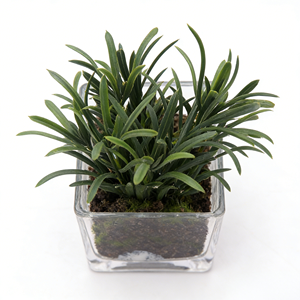 Plante artificielle de gladiolus de haute qualité en pot en <span class=keywords><strong>verre</strong></span> avec faux sol, petite plante artificielle pour la maison et le bureau - Product Image 5
