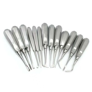 Elevador Dental de Acero Inoxidable, Elevador Triangular para Extracción de Raíces, Instrumentos Quirúrgicos Orales - Product Image 3