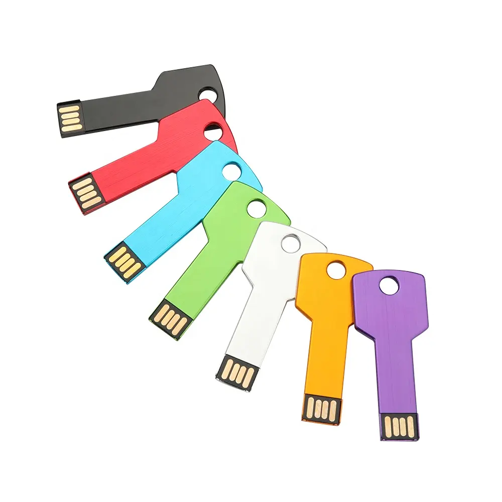 Wholesale Custom Logo 1gb 2gb 4gb 8gb 16gb 32gb 64gb 128gb pendrive usb memory sticks key usb flash drive