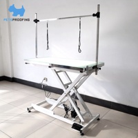 Table de toilettage pour animaux de compagnie, réglable en hauteur, pliable, hydraulique, avec levage pneumatique, éclairée par LED électrique, en acier inoxydable, pour l'épilation