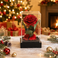 Bouquet de roses éternelles en acrylique sous cloche en verre, fait main, pour la remise des diplômes, la Saint-Valentin, Noël