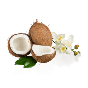 Precio barato Coco seco de Vietnam mejor calidad precio barato para la exportación MOQ bajo Coco semi descascarillado agricultura Tropical - Product Image 1