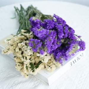 Vente en gros de fleurs séchées naturelles Feuilles sèches <span class=keywords><strong>Eucalyptus</strong></span> Lavande Roseau en coton pour mariage, maison et <span class=keywords><strong>d</strong></span>écoration de cadeaux - Product Image 1