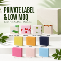 Lot de Savons Artisanaux au Lait de Chèvre Bio Pressés à Froid aux Huiles Essentielles de Fruits, Aloe Vera, Citron et Curcuma