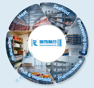 Cámara Frigorífica Personalizada, Precio de Cámara Frigorífica, Enfriador para Frutas y Verduras Frescas - Product Image 6